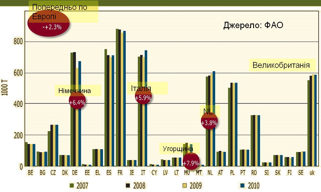 Виробництво яєць у світі